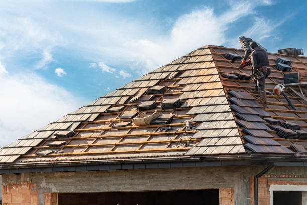 Best Roof Maintenance and Cleaning  in Lake Panasoffkee, FL